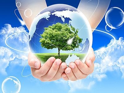 泰山安全评价报告有的公司