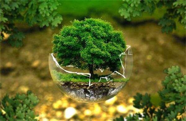 青岛安全环保托管需要多少钱？