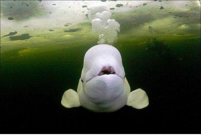 潍坊安全托管手续办理公司？