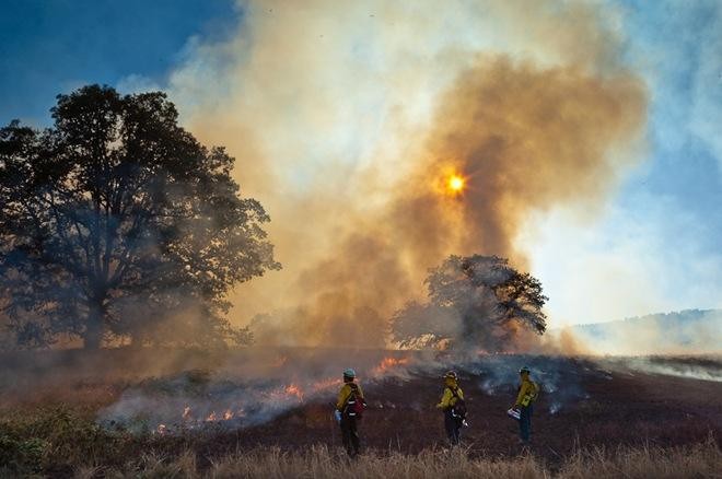 邹平环境影响登记表有哪些啊?
