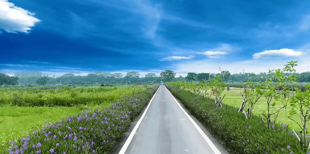 空æ°è´¨éæ¹åå¹
度èèå
¨å¸ç¬¬ä¸ ä¹å¹³ç¯å¢ä¿æ¤æªæ½å® 亮ç¹å¤ æææ¾