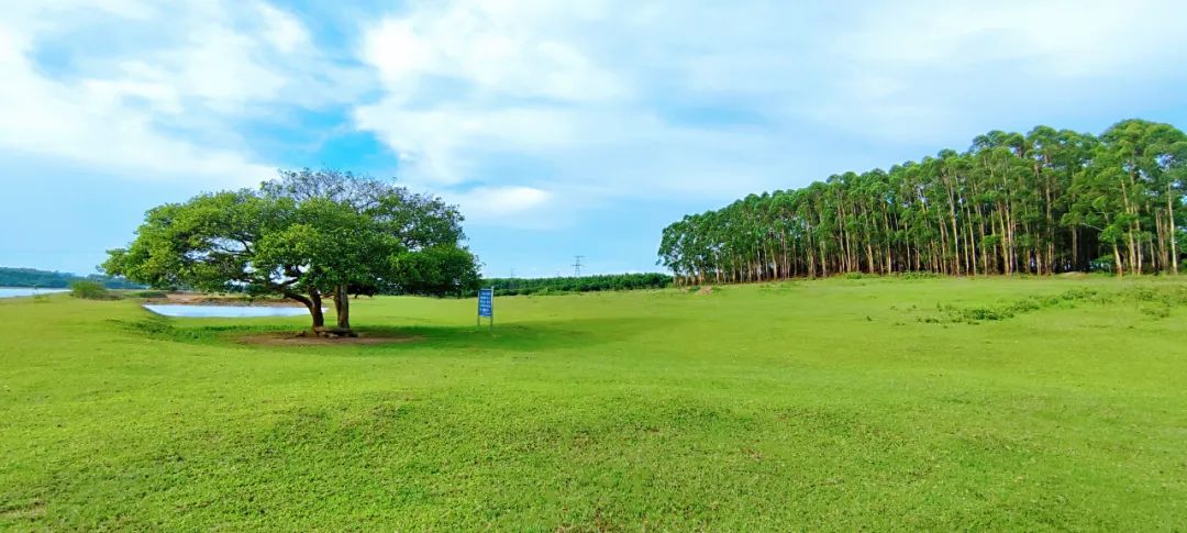 é¶æµ·åºçæç¯å¢æ²»çç»å°±ç°ä»£åç»¿è²åè°æ°åºè²